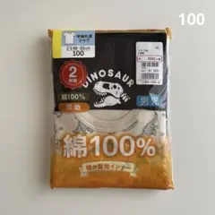 新品(100) 男児 肌着 インナーシャツ 綿100% 恐竜柄 暖か厚地 2枚組