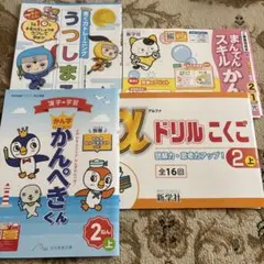 小学2年生のドリルセット！漢字スキル/漢字の学習/読解力/書写のサムネイル
