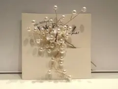 Item thumbnail for item 1c3250f5-e189-44d1-9e54-69c2b2879264