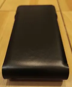 キリン様専用Dignis SONY- NW-WM1AM2 ZM2用 ケース - メルカリ
