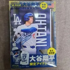 2026年最新】ペットボトルクーラー 大谷の人気アイテム - メルカリ