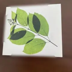 Item thumbnail for item 0da6404e-51b5-4f2a-8641-25f6a3fb365f