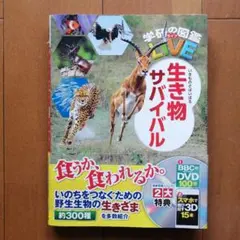 n.tajima1023様 リクエスト 2点 まとめ商品