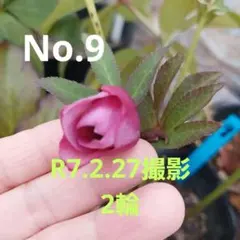 ひとみん様 リクエスト 2点 まとめ商品