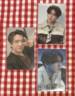 straykids スキズ トレカ 静岡　5/17 会場限定　チャンビン　エコパ