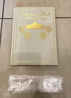 2025年最新】椎名林檎 Electric Moleの人気アイテム - メルカリ