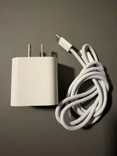 Apple純正　充電器　ケーブル　typec 20W