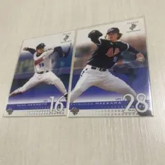 Item thumbnail for item 3b422611-b87b-4a43-9006-f0db2d142625