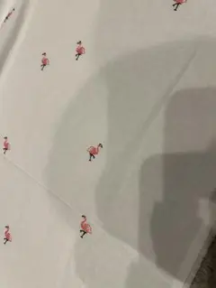 Item thumbnail for item eb57eadb-ae87-418f-96fe-84a2ba19e7c7