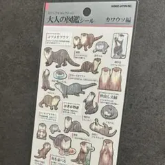 【水族館気分】大人の図鑑シールカワウソ編｜コツメカワウソ ニホンカワウソ 可愛い