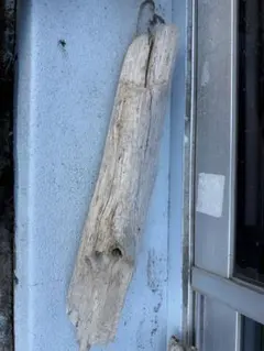 Item thumbnail for item 0ad62379-cebc-4383-8019-cb9f9e08bde9