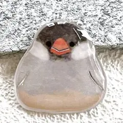 Item thumbnail for item f8aeb740-c6c8-4de3-86cb-adc03e369c76