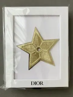 【未開封】Dior ピンバッジ　ショッパー付けられます　匿名配送　ディオール