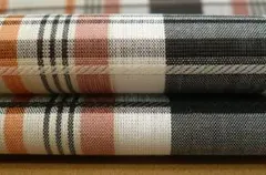 Item thumbnail for item 2f649f17-5e99-4649-ab86-d205abfa0c0c