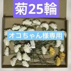 オコちゃん様 リクエスト 2点 まとめ商品