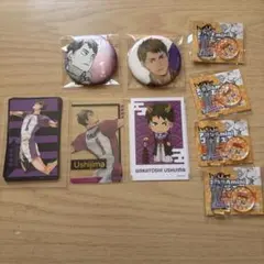 ハイキュー　牛島若利　まとめ売り