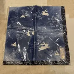 Item thumbnail for item 8c41b908-01d6-4e1d-9577-adb2b9a23859