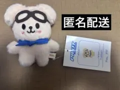 Straykids スキズ スンミン SKZOO パピーム パイロット 10cm