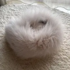 saga furs かわいい淡いピンク　フォックスファー マフラー