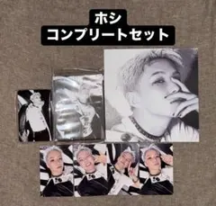 ホシ BURSTDAY DAREDEVIL バインダー 24枚 トレカ コンプ