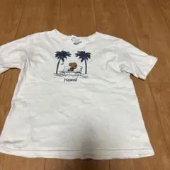 ハワイ Tシャツ Delta Pro Weight S