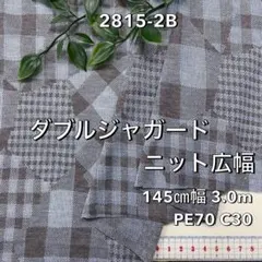 NO,2815-2B 145cm幅 3.0m ダブルジャガード　くすみブルー