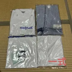 Item thumbnail for item cfeccde5-ab28-4c17-89c0-3d18b0944164