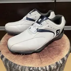 Item thumbnail for item 1b843e9a-370e-4f03-84a6-705b9edc58db