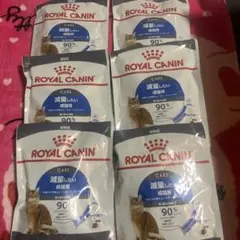 Item thumbnail for item ec676271-68d8-4c6b-b084-f06a492b9352