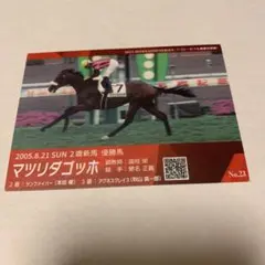 2026年最新】サラブレッドカード メモリアルの人気アイテム - メルカリ