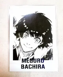 ブルーロックカード蜂楽廻