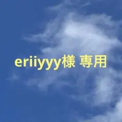 eriiyyy様 リクエスト 2点 まとめ商品