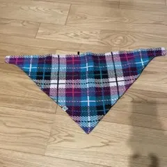 Item thumbnail for item 86227126-68fe-42b5-b03e-c6ca2bb19937