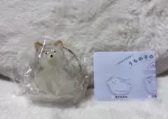 【新品未開封】うちの子のけだまだま 柴犬 カプセルトイ