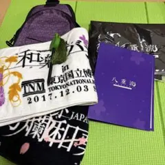 Item thumbnail for item 9e766ae1-68bc-4f3a-9b4f-f5d53a5a68e4