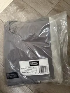 Item thumbnail for item 79b2861e-f00c-4c78-8178-f66133b3bc5d