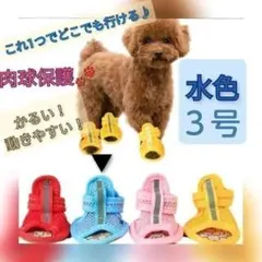 【水色　３号】犬　サンダル　通気性抜群　春夏用　肉球保護　犬の靴　ブーツのサムネイル