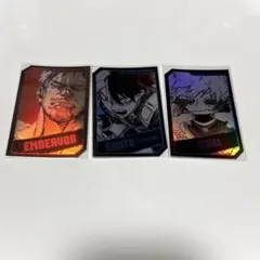 荼毘 轟焦凍 エンデヴァー ホロカード ホロカ