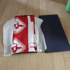 Item thumbnail for item 217b7000-d2f9-4686-9b9b-092ed1a1cb19