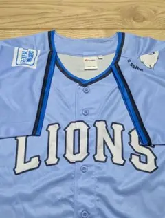 Item thumbnail for item 74a5c577-39ae-4e1c-af48-872362e961d5