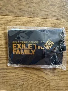 EXILE TRIBE FAMILY ラゲッジタグ　会員継続のサムネイル
