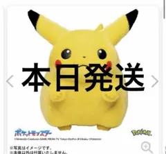 ポケットモンスター ポケモン30周年記念 おかえり！ピカチュウ1/1新品未開封品