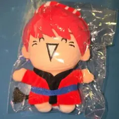 超特急 ユーキ ぬいぐるみ 阿波 徳島県 限定