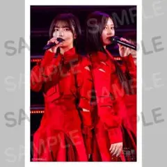 乃木坂46 中西アルノ 井上和 生写真