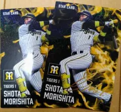 Item thumbnail for item 77f94ce4-d578-43bb-8020-41d091f3c2bc