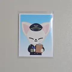 【値下げ】Stray Kids SKZOO popup フォクシニー IDフォトのサムネイル