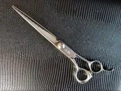 Item thumbnail for item 05e92b04-b88c-4e07-852e-4e9858ba8f7c