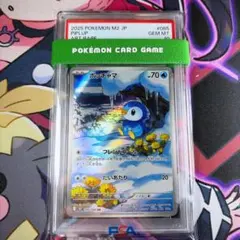 ポッチャマ AR PSA10 インフェルノX