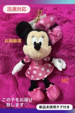 新品未使用♡ディズニー ミニーの日ミニーチャーム ミニーぬいぐるみ