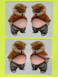 2枚セット（合計4匹） 3Dシール おなかぷにぷにシールステッカーシール帳 柴犬